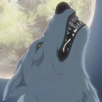 wolf_main_02.jpg