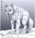 Kiba-wolf-rain-S.jpg